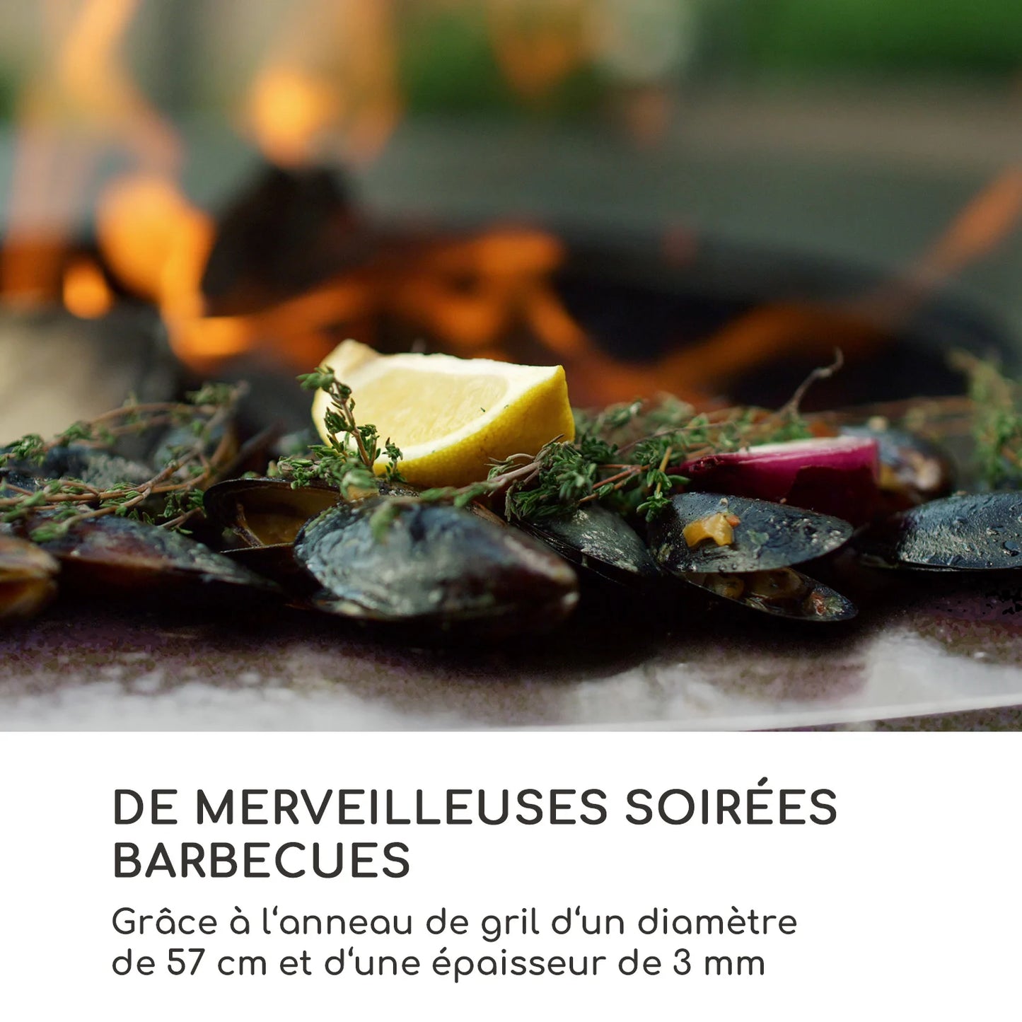 Barbecue Brasero Plancha