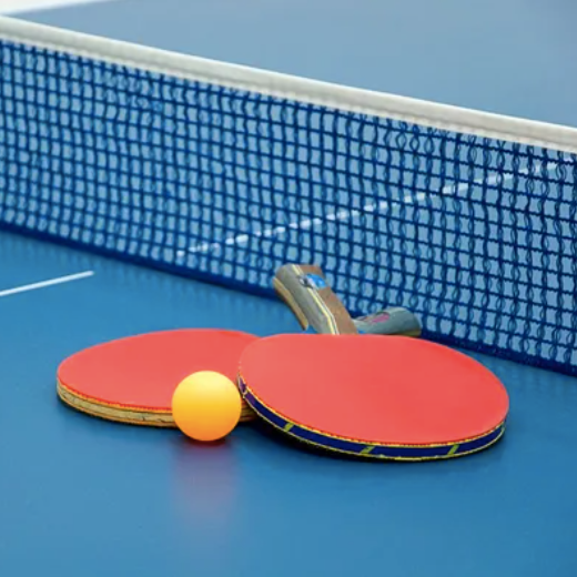 Tennis de Table Olympique